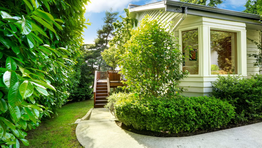 Landscape Design & Installation Landscape Design & Installation
